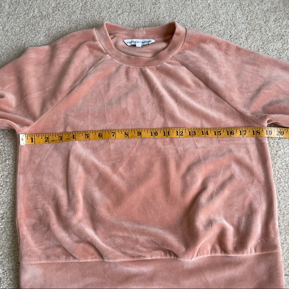 Cupcakes & Cashmere Elio Velour Sweatshirt Pink - Picture 7 of 7